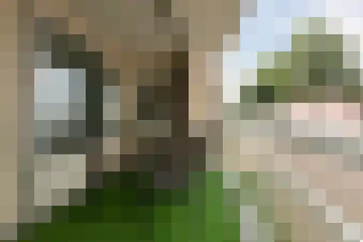 Flitsstraat 32 Sneek thumbnail 31