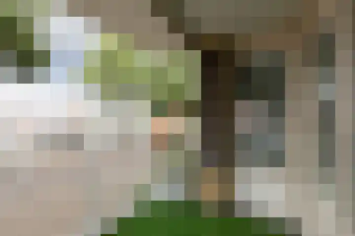 Flitsstraat 32 Sneek thumbnail 32