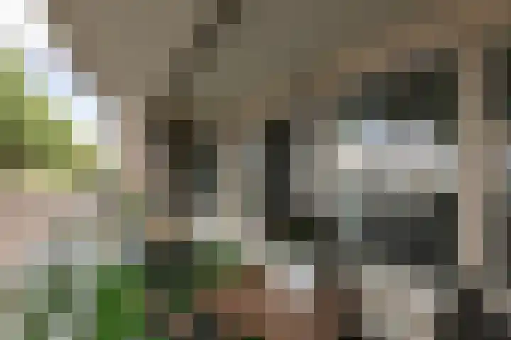 Flitsstraat 32 Sneek thumbnail 33