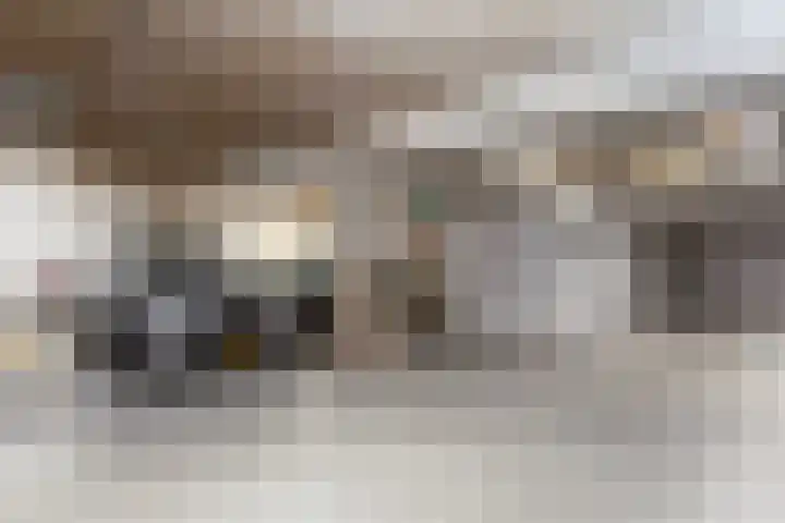 Flitsstraat 32 Sneek thumbnail 34
