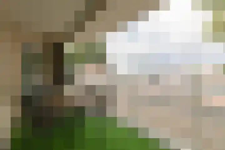 Flitsstraat 32 Sneek thumbnail 4