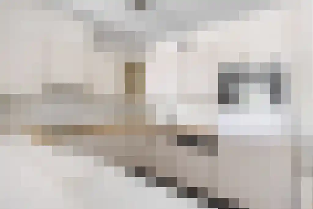 Flitsstraat 42 Sneek thumbnail 15