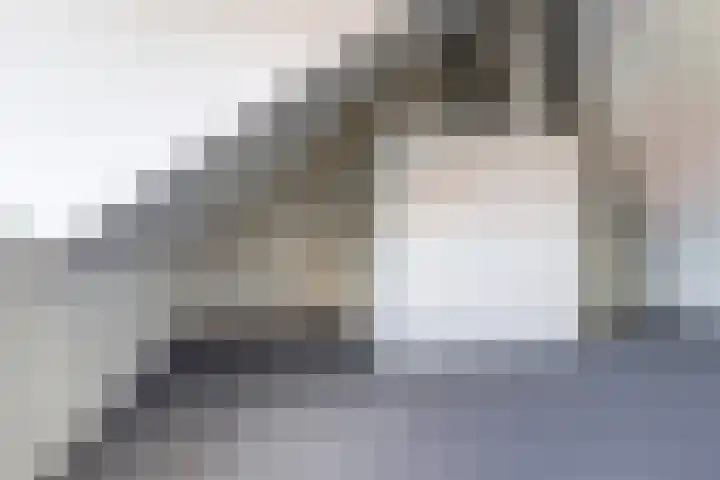 Floddertje 12 Kapelle thumbnail 18