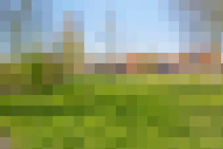 Floddertje 27 Kapelle thumbnail 29