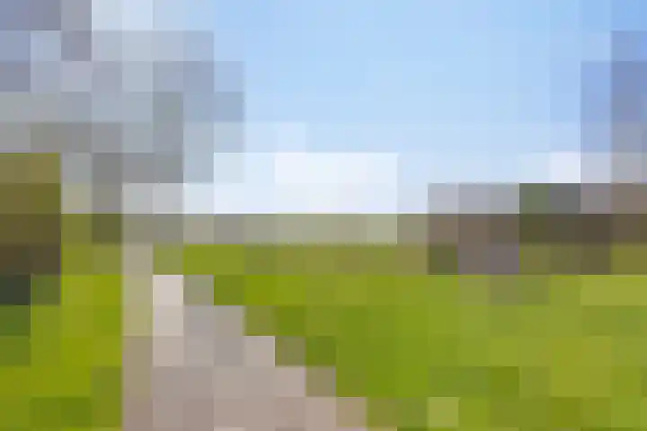 Floddertje 27 Kapelle thumbnail 30