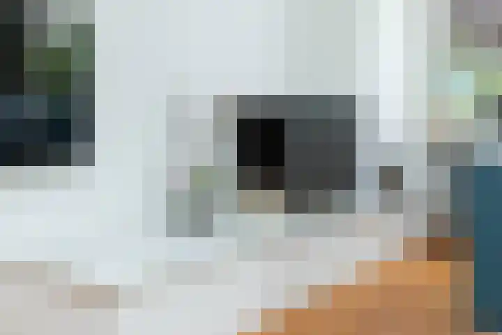 Flokstrapad 5 Hoogeveen thumbnail 10