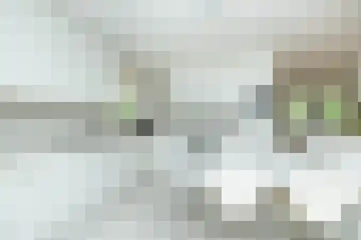 Flokstrapad 5 Hoogeveen thumbnail 20