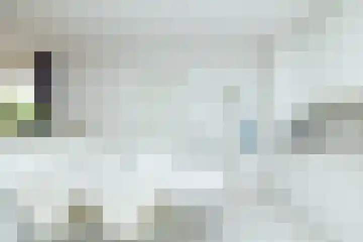 Flokstrapad 5 Hoogeveen thumbnail 24