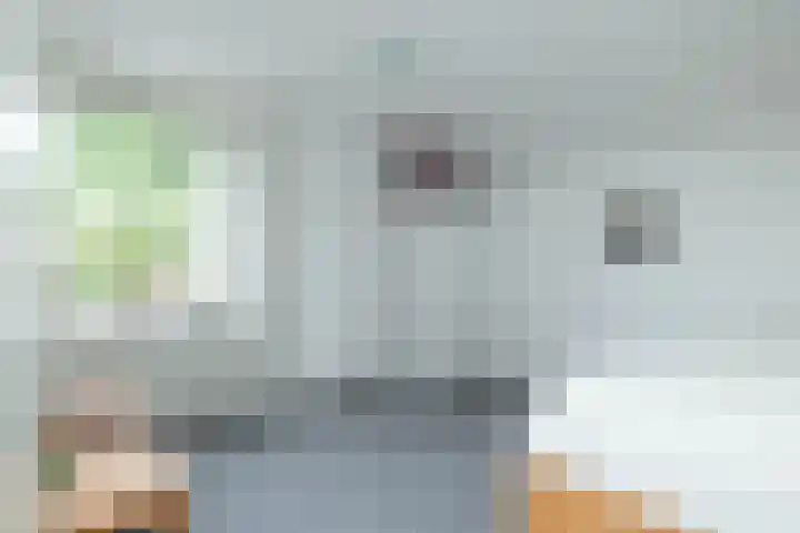 Flokstrapad 5 Hoogeveen thumbnail 38