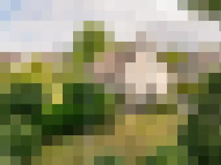 Flokstrapad 5 Hoogeveen thumbnail 4
