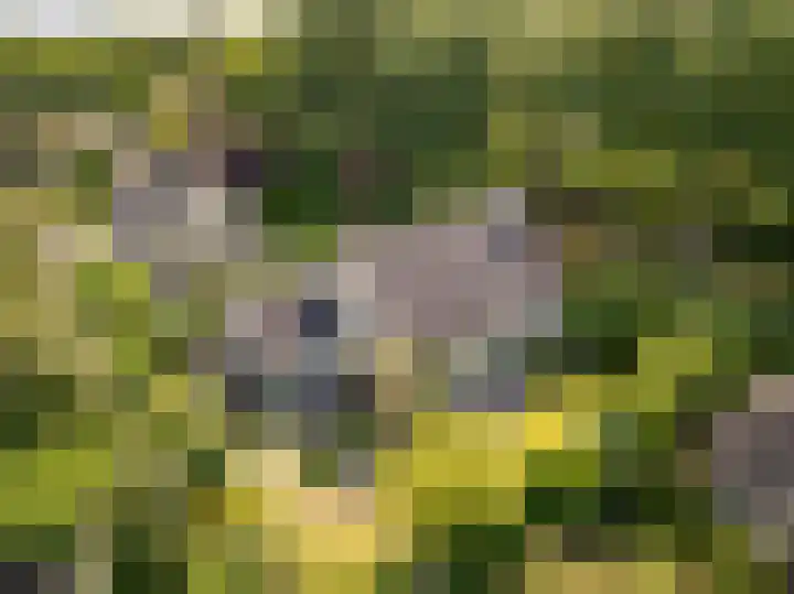Flokstrapad 5 Hoogeveen thumbnail 5