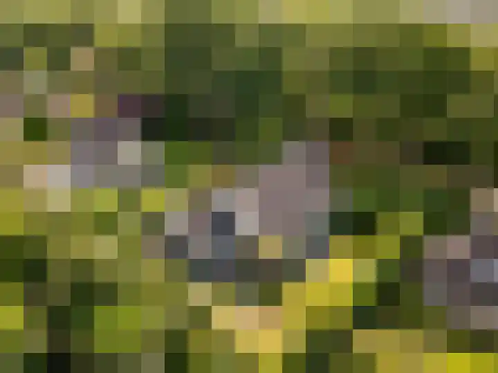 Flokstrapad 5 Hoogeveen thumbnail 54
