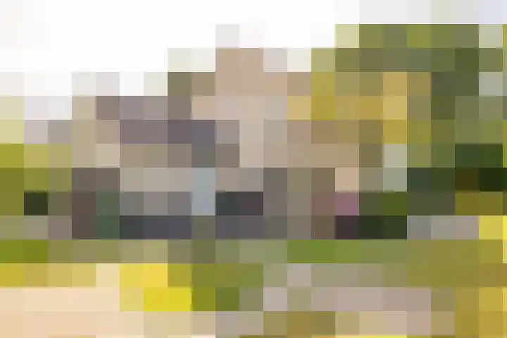 Flokstrapad 5 Hoogeveen thumbnail 55