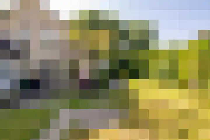 Flokstrapad 5 Hoogeveen thumbnail 56