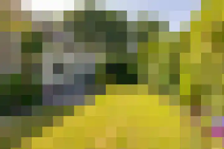 Flokstrapad 5 Hoogeveen thumbnail 57