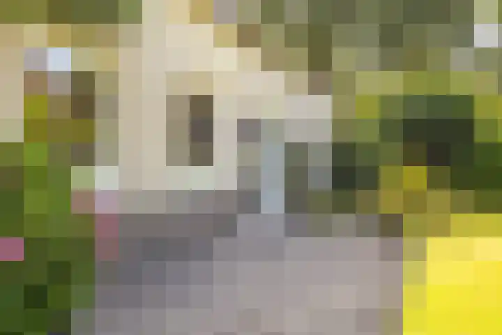 Flokstrapad 5 Hoogeveen thumbnail 58