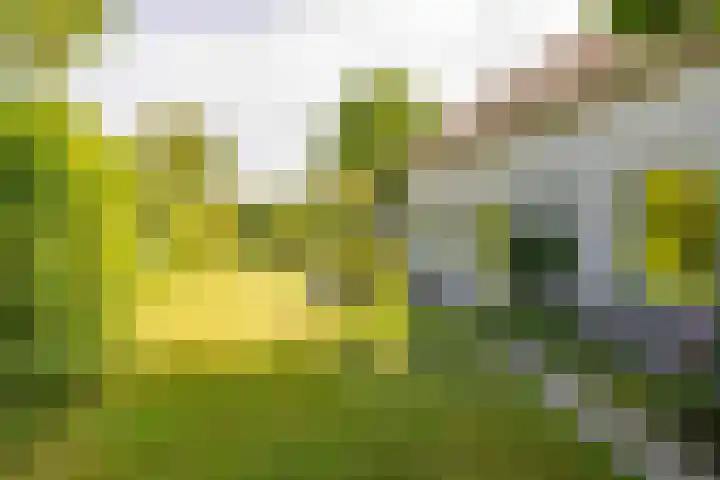 Flokstrapad 5 Hoogeveen thumbnail 59