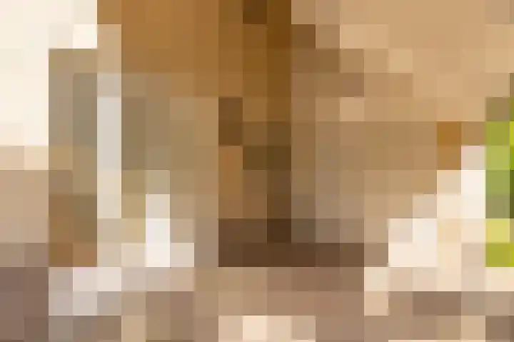Flokstrapad 5 Hoogeveen thumbnail 6