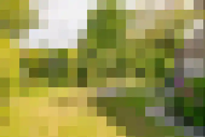 Flokstrapad 5 Hoogeveen thumbnail 60