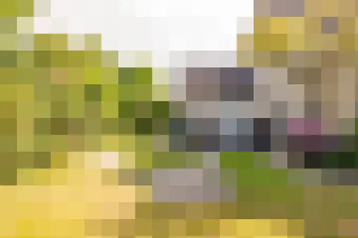 Flokstrapad 5 Hoogeveen thumbnail 61
