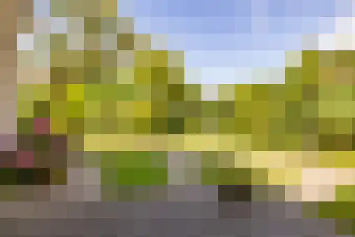Flokstrapad 5 Hoogeveen thumbnail 62