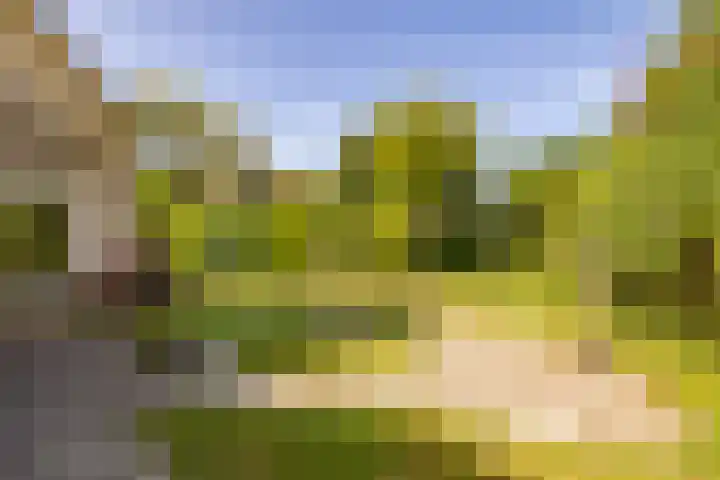 Flokstrapad 5 Hoogeveen thumbnail 63