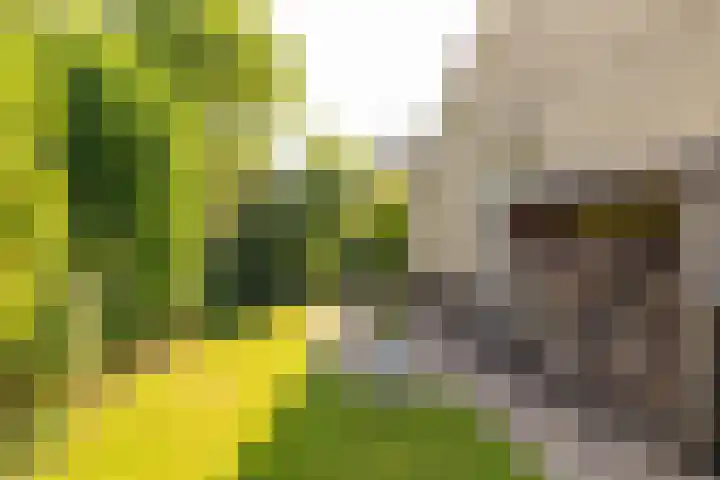 Flokstrapad 5 Hoogeveen thumbnail 64