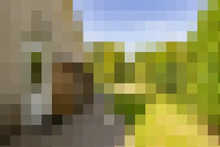 Flokstrapad 5 Hoogeveen thumbnail 65