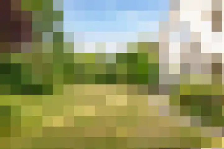 Flokstrapad 5 Hoogeveen thumbnail 66