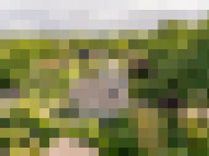 Flokstrapad 5 Hoogeveen thumbnail 68