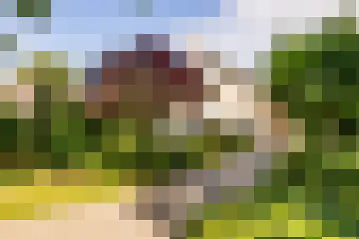 Flokstrapad 5 Hoogeveen thumbnail 69