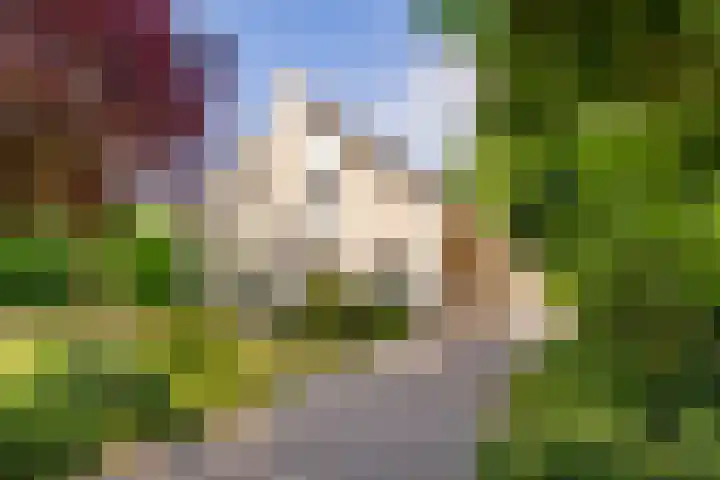 Flokstrapad 5 Hoogeveen thumbnail 70