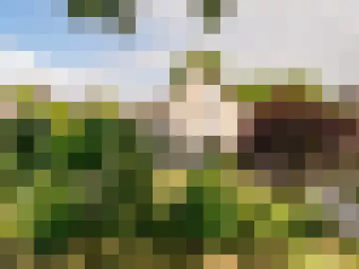 Flokstrapad 5 Hoogeveen thumbnail 73