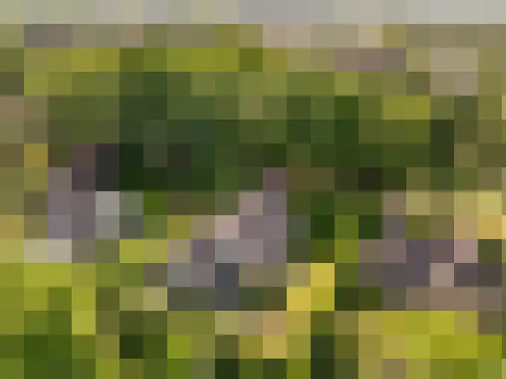 Flokstrapad 5 Hoogeveen thumbnail 74