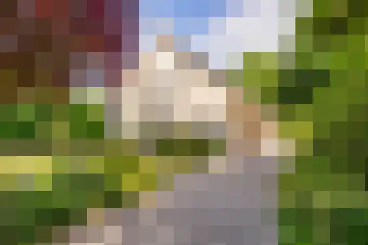 Flokstrapad 5 Hoogeveen thumbnail 78