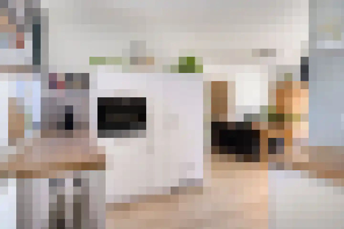 Flora Bilderbeekstraat 1 Zwolle thumbnail 15