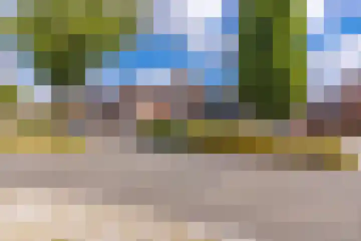 Floraheem 2 Musselkanaal thumbnail 12