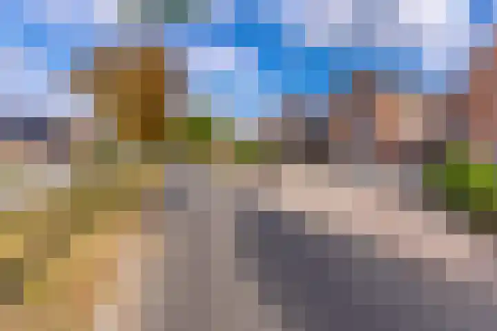 Floraheem 2 Musselkanaal thumbnail 13