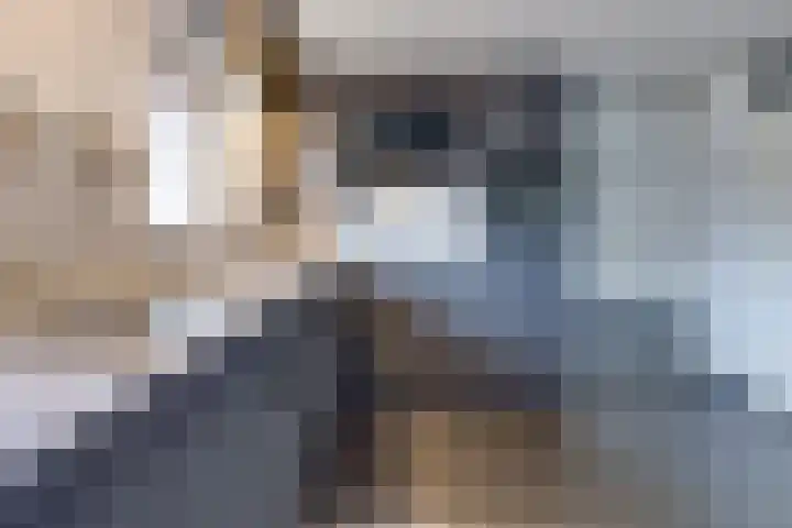 Floraheem 2 Musselkanaal thumbnail 27