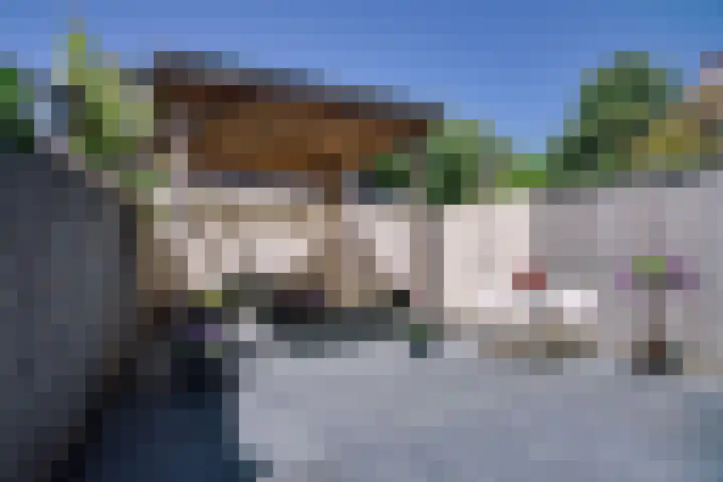 Florahof 21 Noordwijk thumbnail 14