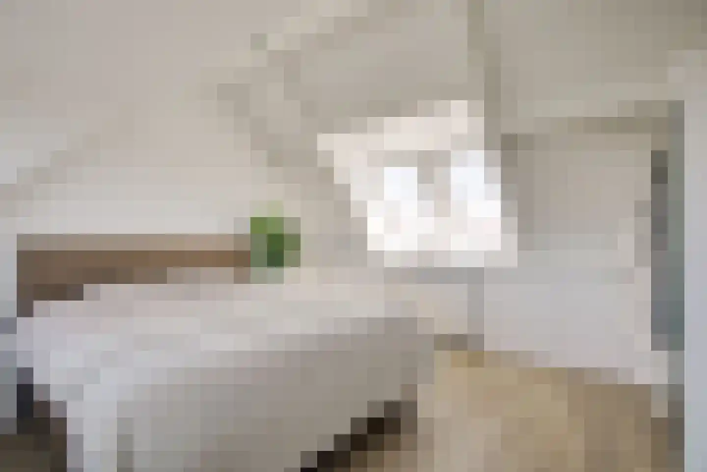 Florahof 21 Noordwijk thumbnail 29