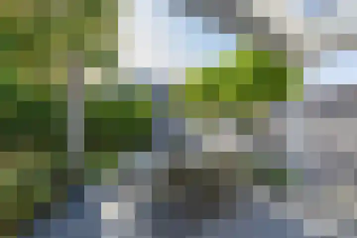 Florahof 6 A Noordwijk thumbnail 22