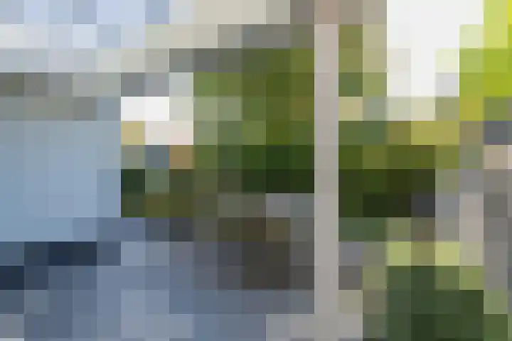 Florahof 6 A Noordwijk thumbnail 23