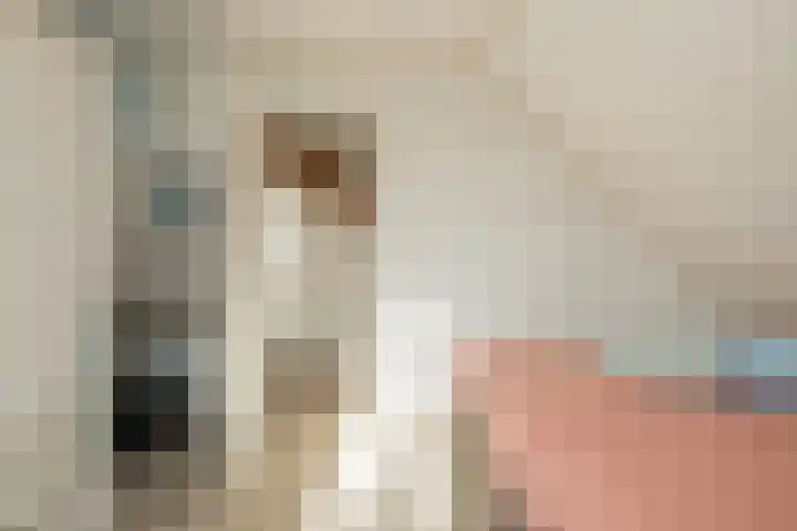 Florahof 6 A Noordwijk thumbnail 37