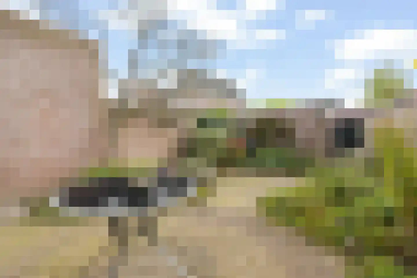 Florahof 9 Noordwijk thumbnail 15