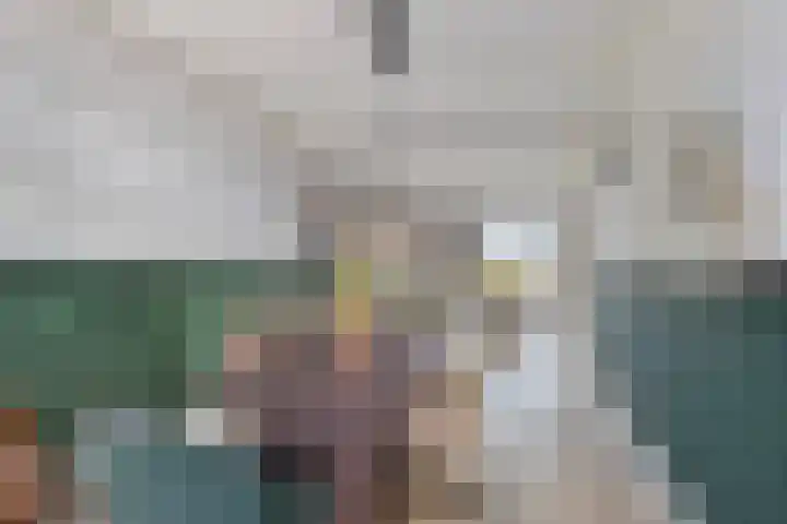 Florakade 160 Groningen thumbnail 18