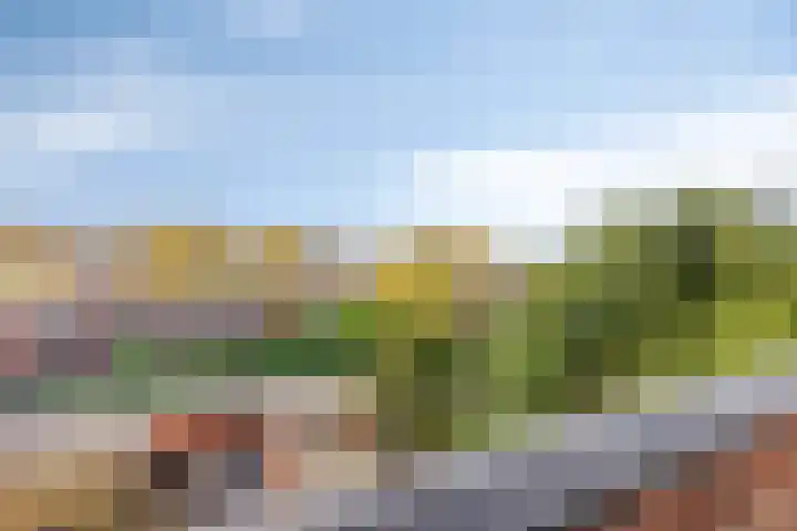 Florakade 160 Groningen thumbnail 29
