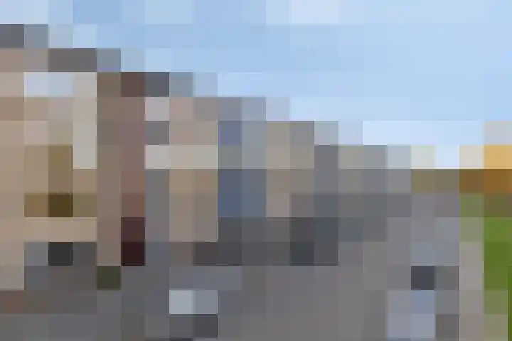 Florakade 160 Groningen thumbnail 32
