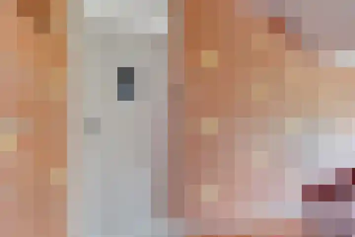 Florakade 160 Groningen thumbnail 9
