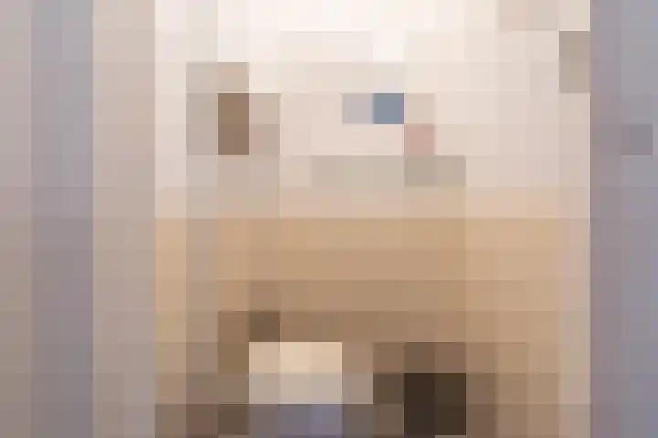 Florakade 182 Groningen thumbnail 17